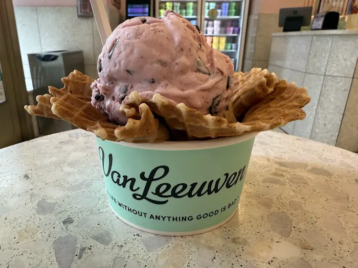 Van Leeuwen Ice Cream Picture 4
