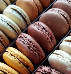 La Maison du Chocolat Truck Picture 1