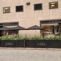 Lodi ico