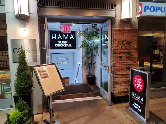 HAMA Picture 5