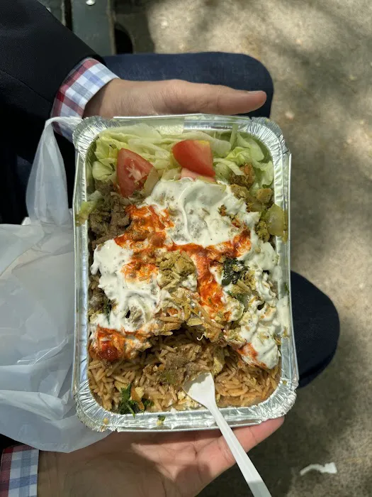 USA BEST HALAL FOOD Picture 6