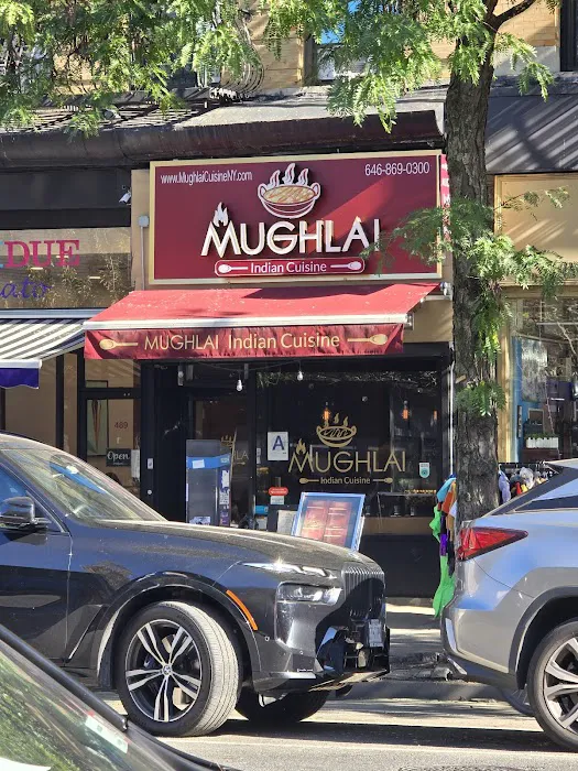 Mughlai Indian Cuisine Picture 5
