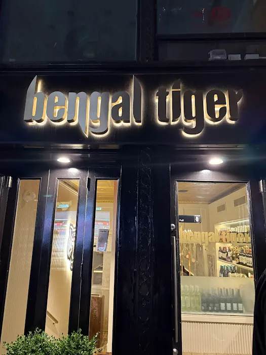 Bengal Tiger Picture 4