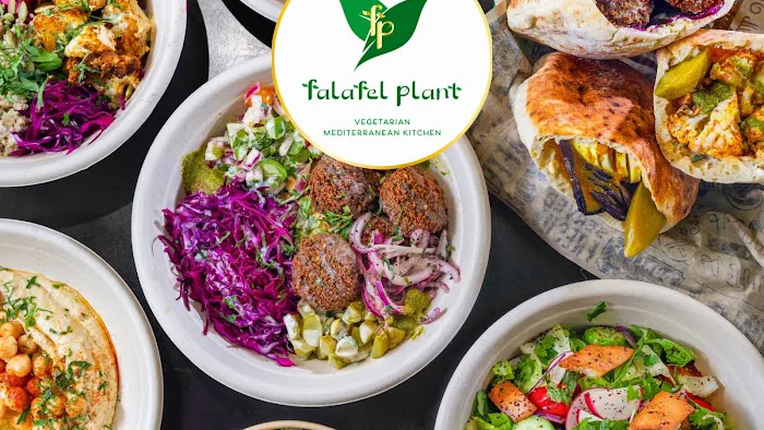 Falafel Plant Picture 7