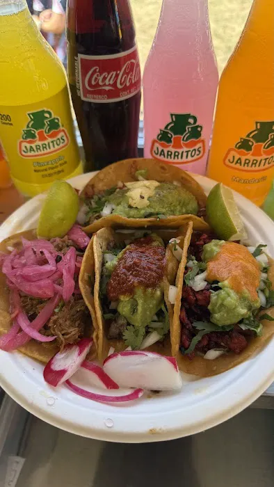 Habanero Pibil 2 Picture 8