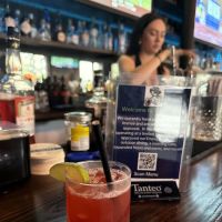 Tipsy Turtle Bar and Cafe ico