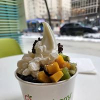 Pinkberry ico