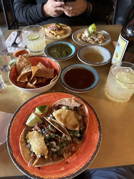 TacoVision Picture 3