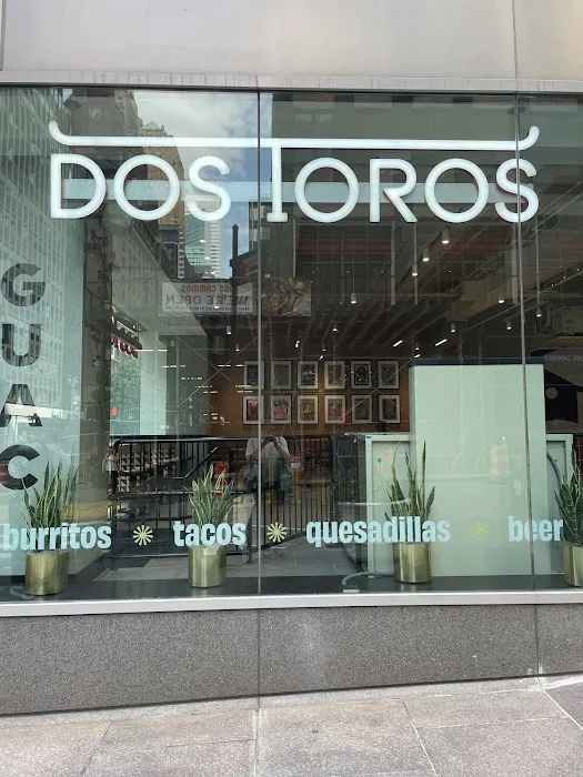 Dos Toros Taqueria Picture 4