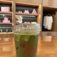 Cha Cha Matcha (MADISON) ico