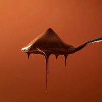 Neuhaus Chocolates ico