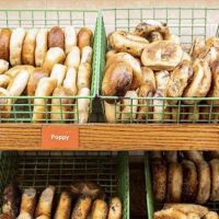 NY Jumbo Bagels ico