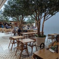 Teranga Midtown ico