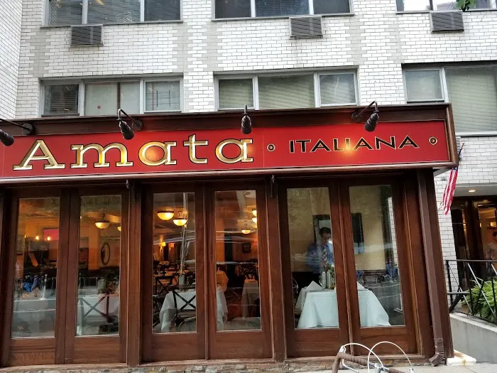 Amata Picture 4