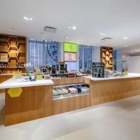 Honeybrains at Saks ico