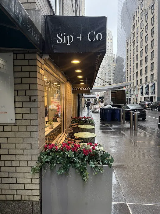 Sip + Co. Picture 2