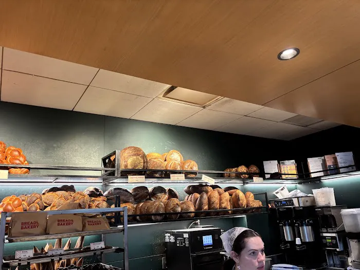 Breads Bakery Picture 10