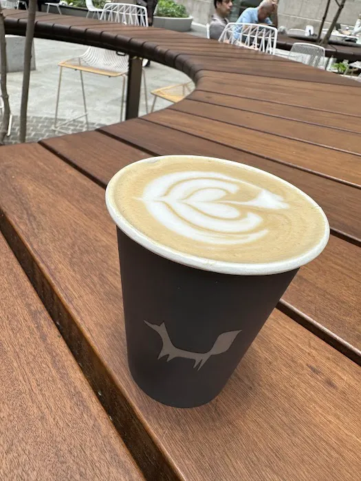 Black Fox Coffee Picture 8