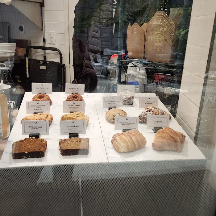 Black Fox Coffee Picture 10