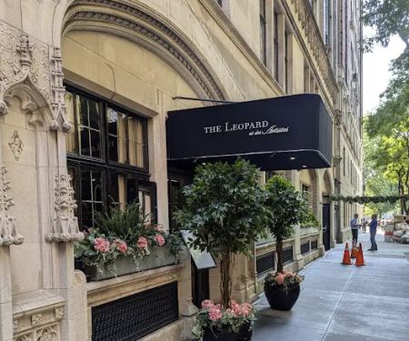 The Leopard at des Artistes
