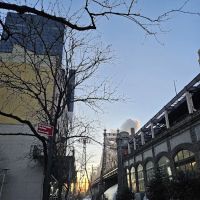Starbucks ico