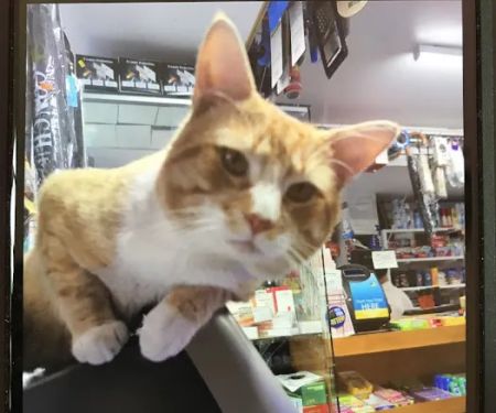 Bismillah Deli & Grocery