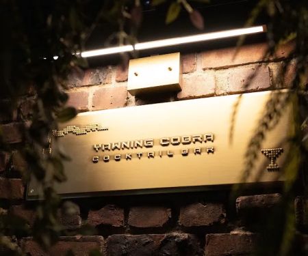 Yawning Cobra Midtown