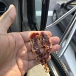 57 Deli Gourmet
