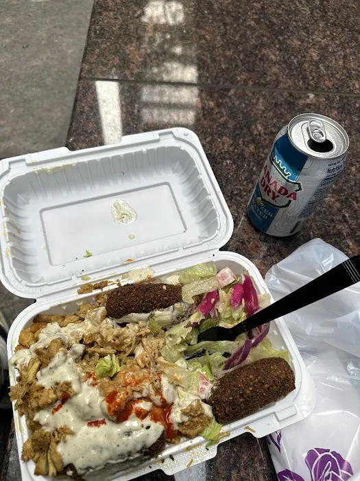 King Of Falafel & Shawarma Cart Picture 9