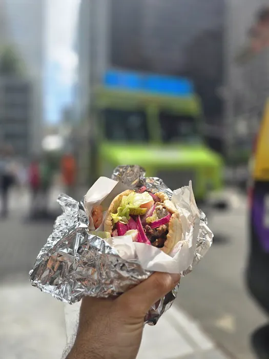 King Of Falafel & Shawarma Cart Picture 4