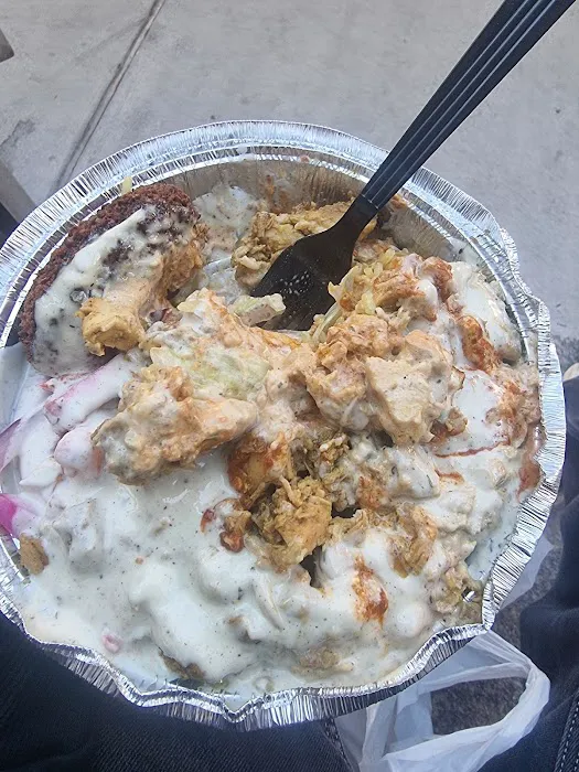 King Of Falafel & Shawarma Cart Picture 6