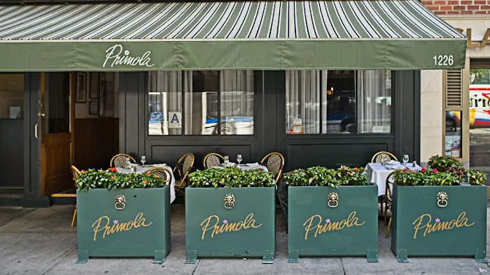 Primola Picture 9