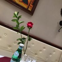India Palace ico