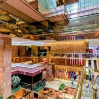 Trump Cafe ico