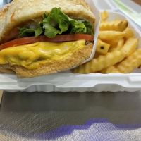 Halo deli inc ico