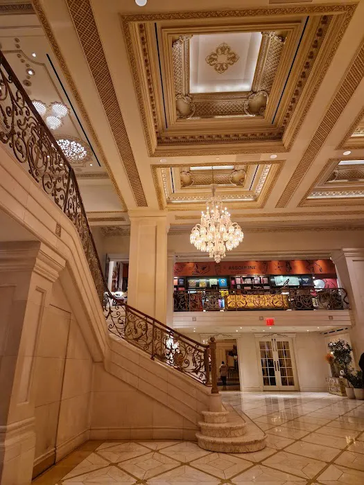 The Champagne Bar Picture 8