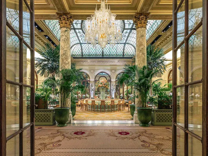 The Palm Court Picture 10