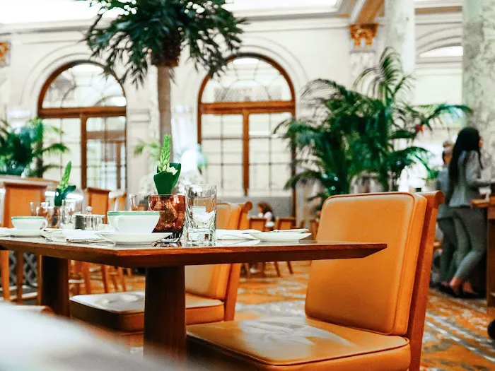 The Palm Court Picture 5