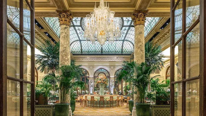 The Palm Court Picture 4