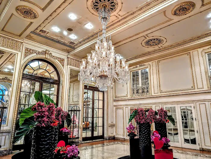 The Palm Court Picture 7