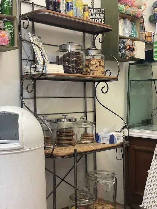 Muffins Cafe Picture 8