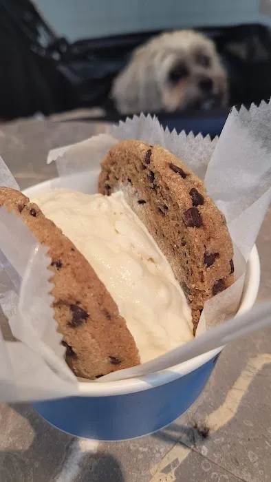 Van Leeuwen Ice Cream Picture 7