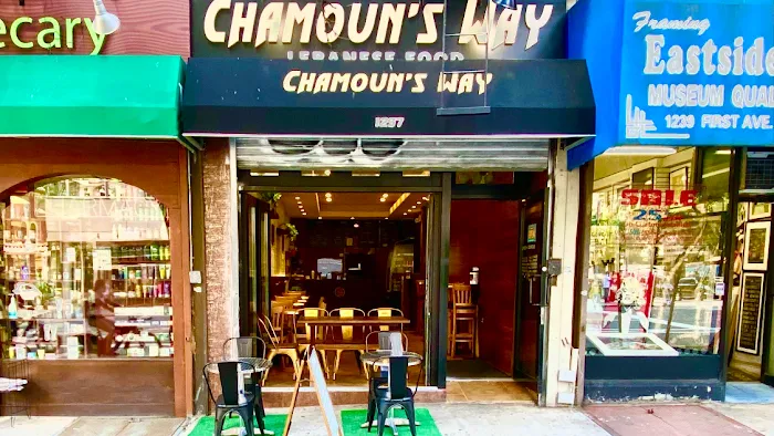 Chamoun's Way Picture 9
