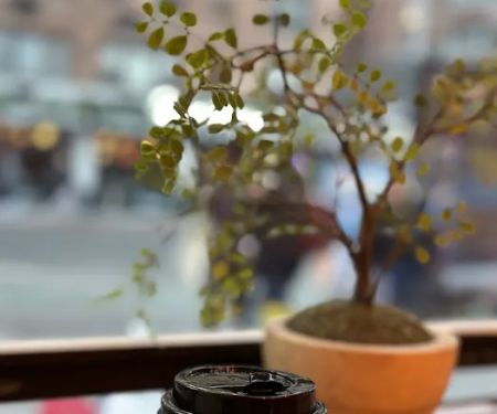 Le Reveil Coffee