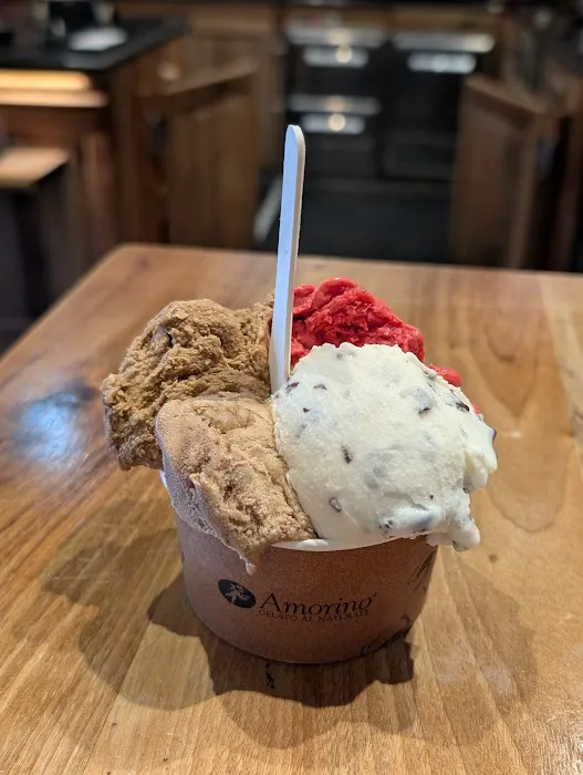 Amorino Gelato Picture 7