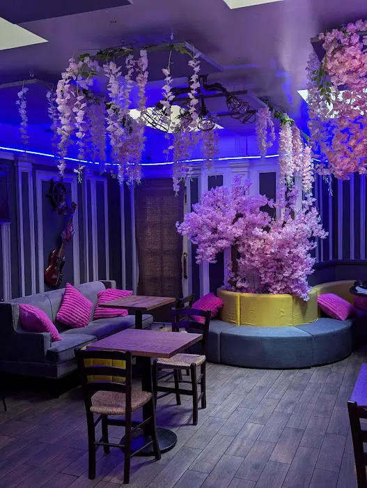 222 Speakeasy - Karaoke Restaurant Picture 7