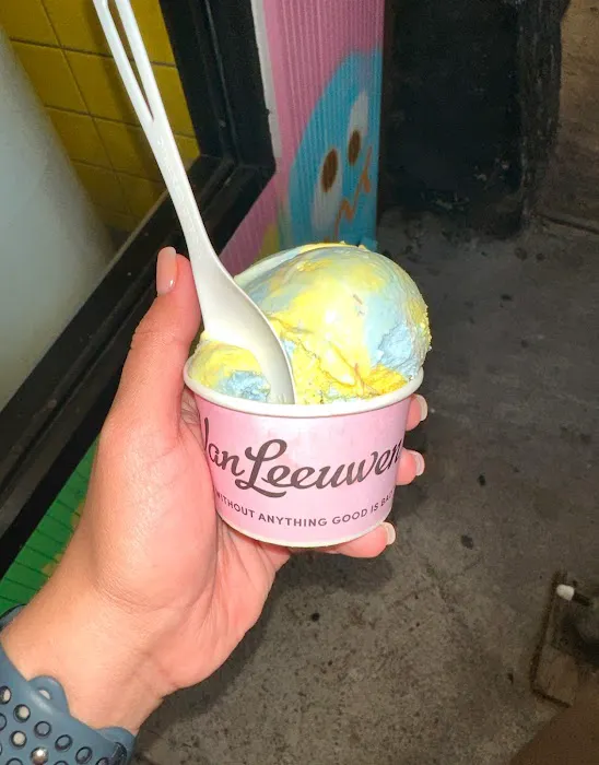 Van Leeuwen Ice Cream Picture 8