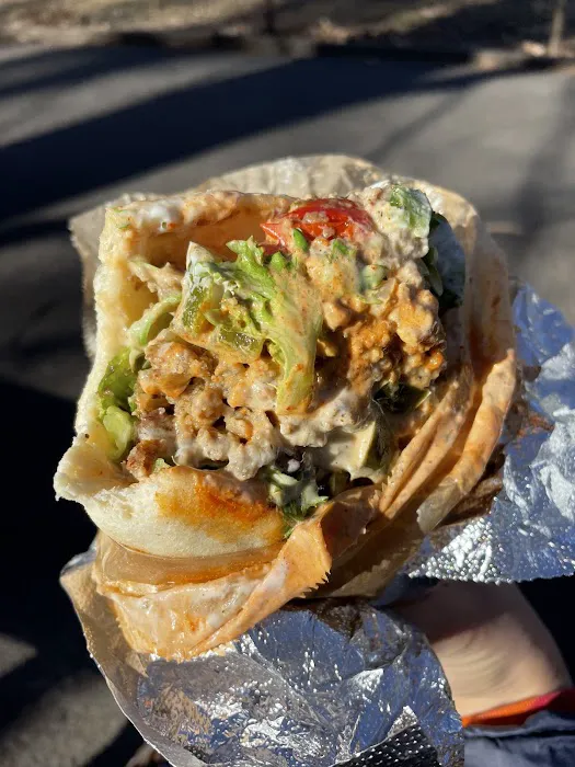 Chef Samir Truck Picture 10