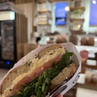 Modern Bread and Bagel ico