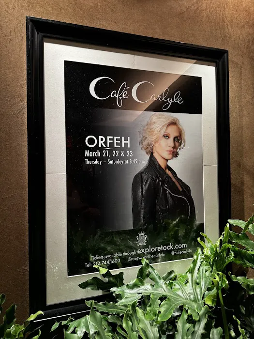 Café Carlyle Picture 3